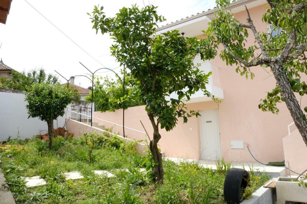 Vale Coelhos Casa De Campo Sarnadela Exteriér fotografie
